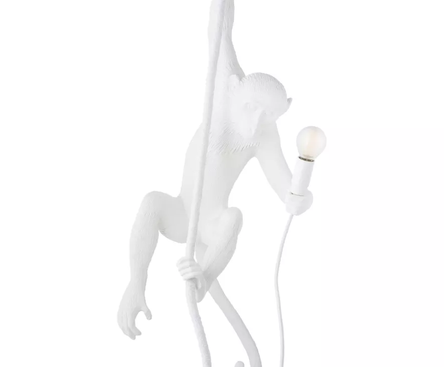 Gallery image for position 4