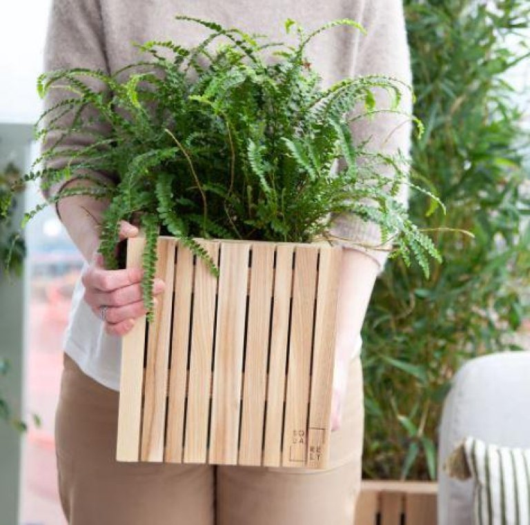 Gallery image for position 12