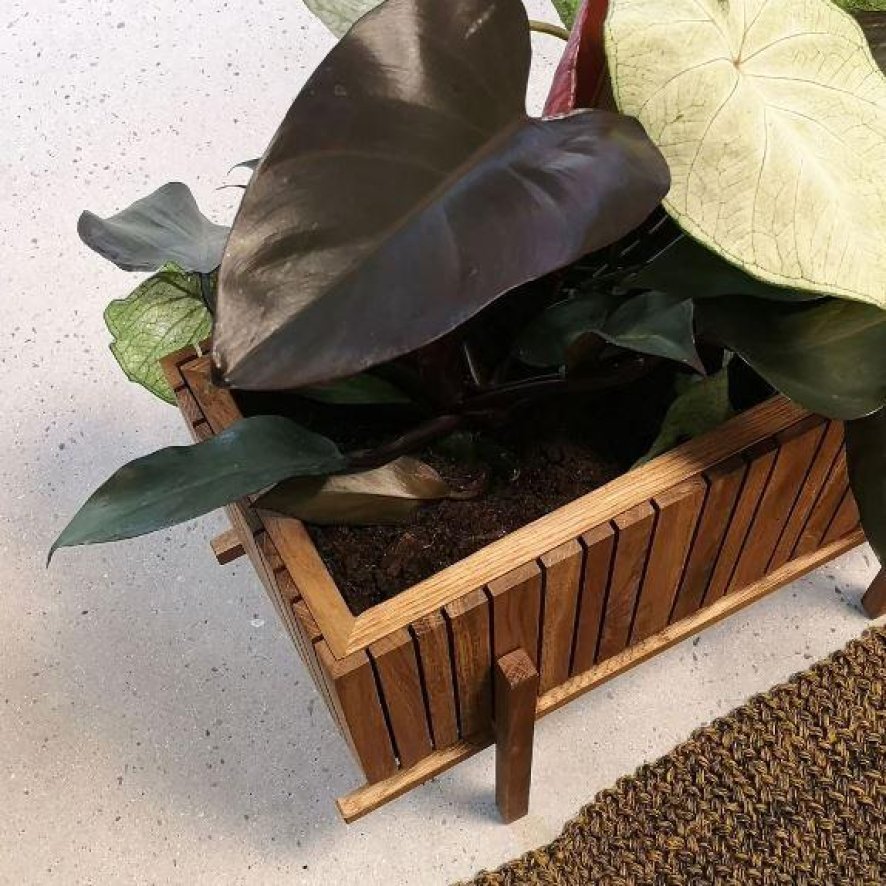 Gallery image for position 13