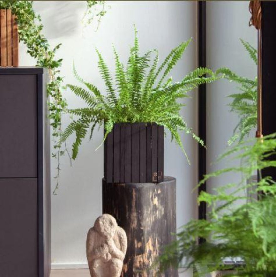 Gallery image for position 9