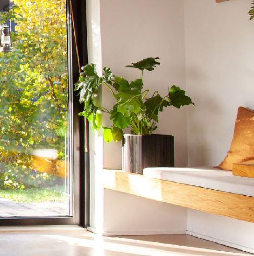 Gallery image for position 10