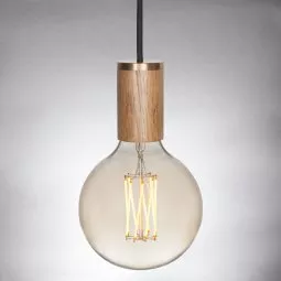 Gaia LED lichtbron E27 6W helder dimbaar