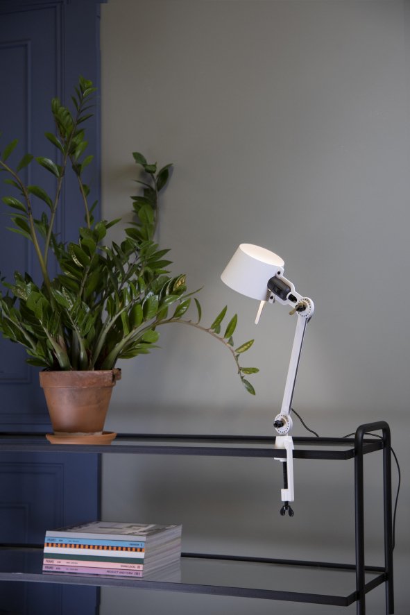 Gallery image for position 1