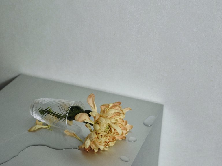 Gallery image for position 5