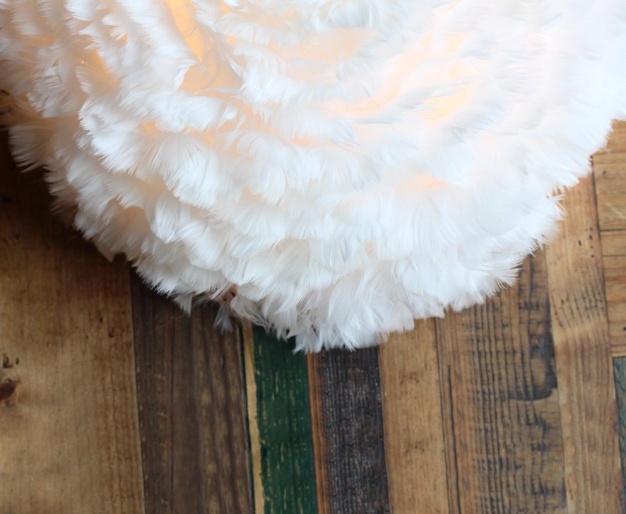 Gallery image for position 5