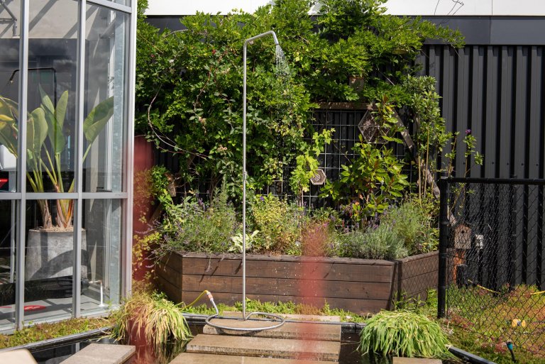 Gallery image for position 25